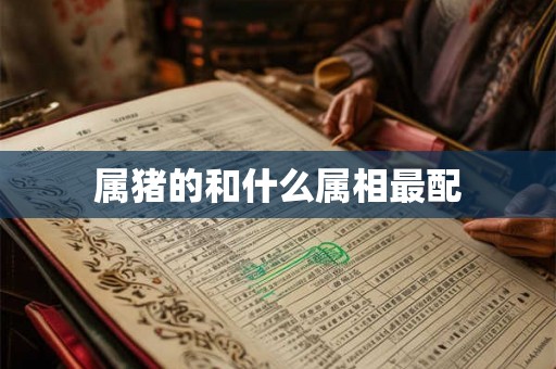 属猪的和什么属相最配