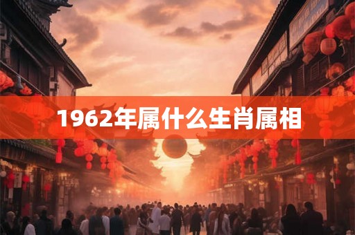 1962年属什么生肖属相