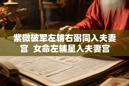 紫微破军左辅右弼同入夫妻宫  女命左辅星入夫妻宫