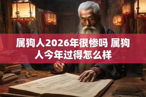 属狗人2026年很惨吗 属狗人今年过得怎么样