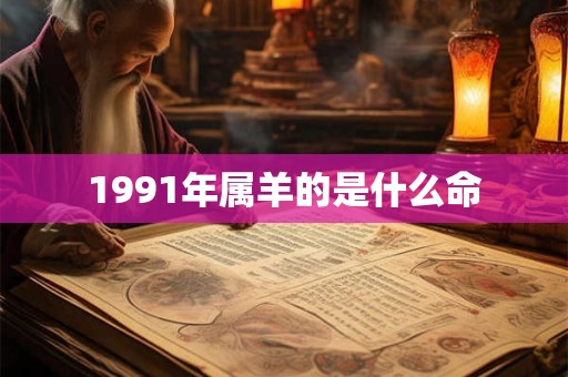 1991年属羊的是什么命