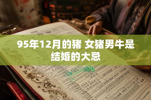 95年12月的猪 女猪男牛是结婚的大忌 95年12月的猪 女猪男牛是结婚的大忌