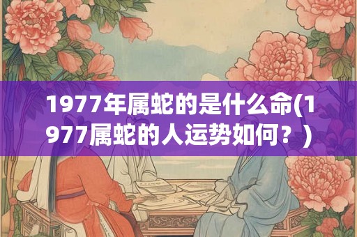 1977年属蛇的是什么命(1977属蛇的人运势如何？)