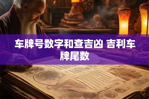 车牌号数字和查吉凶 吉利车牌尾数