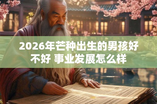 2026年芒种出生的男孩好不好 事业发展怎么样
