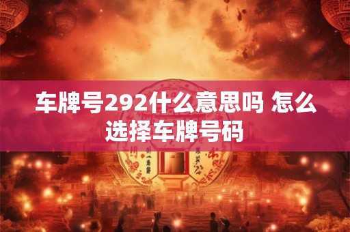车牌号292什么意思吗 怎么选择车牌号码
