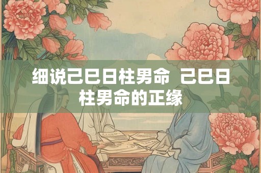 细说己巳日柱男命  己巳日柱男命的正缘