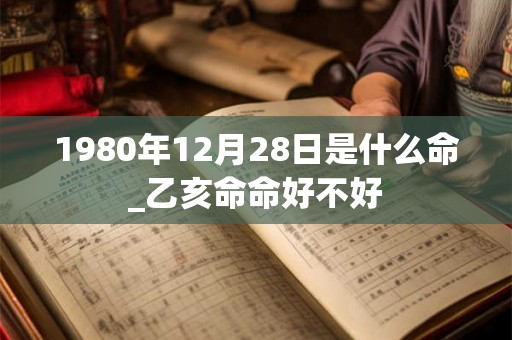 1980年12月28日是什么命_乙亥命命好不好