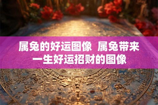 属兔的好运图像 属兔带来一生好运招财的图像 属兔的好运图像 属兔带来一生好运招财的图像
