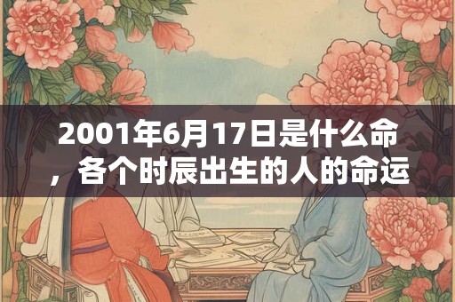 2001年6月17日是什么命，各个时辰出生的人的命运
