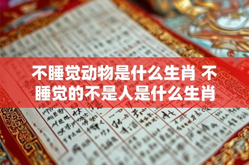 不睡觉动物是什么生肖 不睡觉的不是人是什么生肖