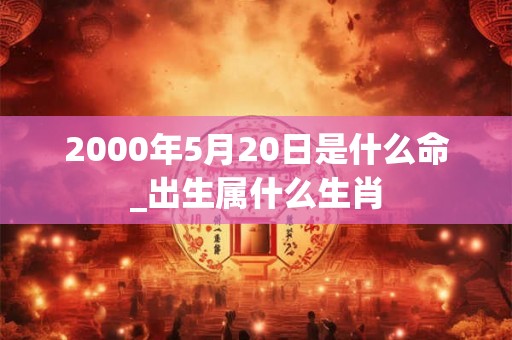 2000年5月20日是什么命_出生属什么生肖 2000年5月20日是什么命_出生属什么生肖