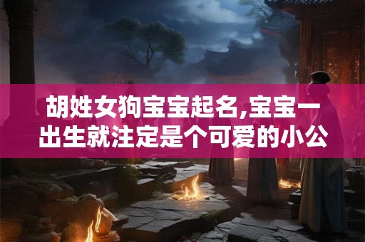胡姓女狗宝宝起名,宝宝一出生就注定是个可爱的小公主