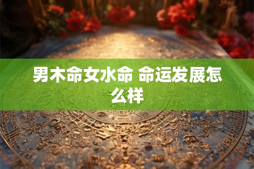 男木命女水命 命运发展怎么样