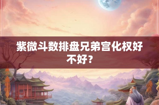 紫微斗数排盘兄弟宫化权好不好？