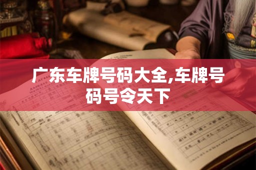广东车牌号码大全,车牌号码号令天下