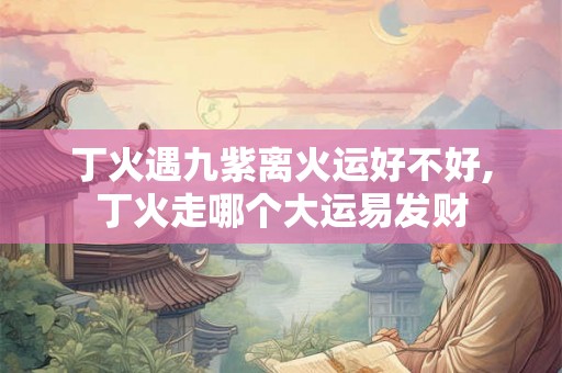 丁火遇九紫离火运好不好,丁火走哪个大运易发财