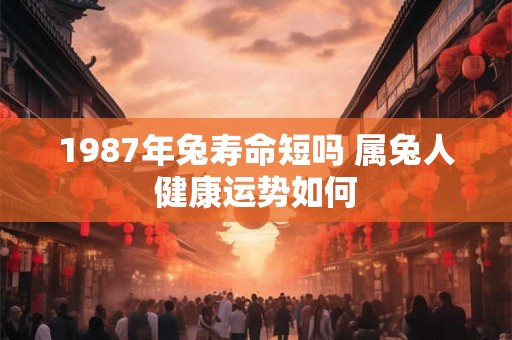 1987年兔寿命短吗 属兔人健康运势如何