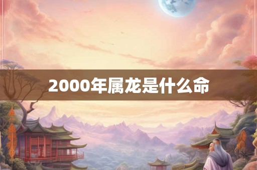 2000年属龙是什么命
