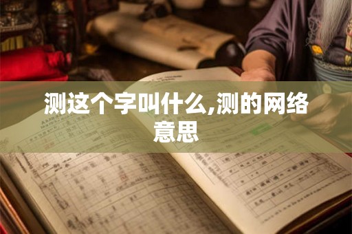 测这个字叫什么,测的网络意思