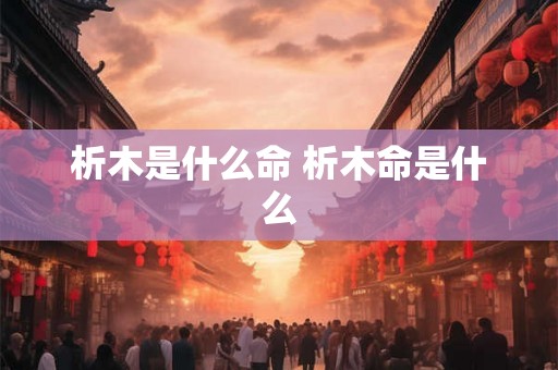 析木是什么命 析木命是什么