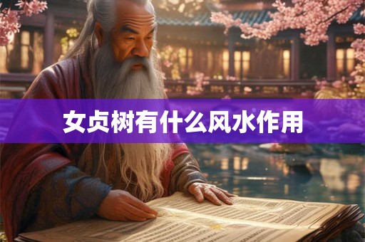 女贞树有什么风水作用 女贞树有什么风水作用