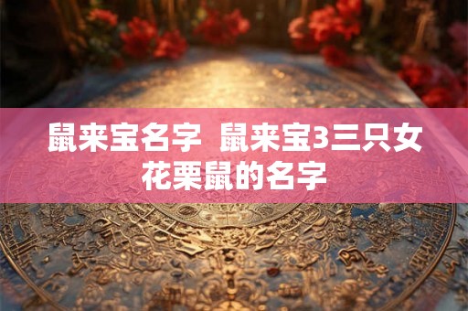 鼠来宝名字  鼠来宝3三只女花栗鼠的名字