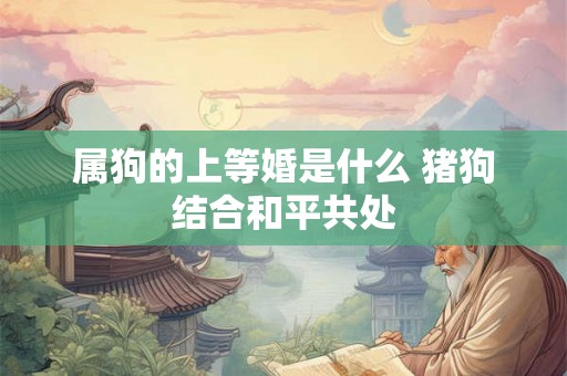 属狗的上等婚是什么 猪狗结合和平共处