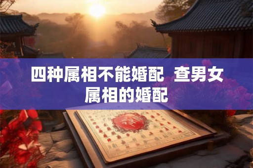 四种属相不能婚配  查男女属相的婚配