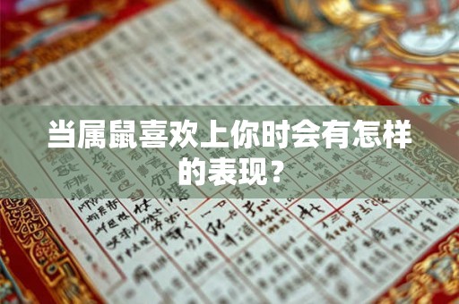 当属鼠喜欢上你时会有怎样的表现? 当属鼠喜欢上你时会有怎样的表现?