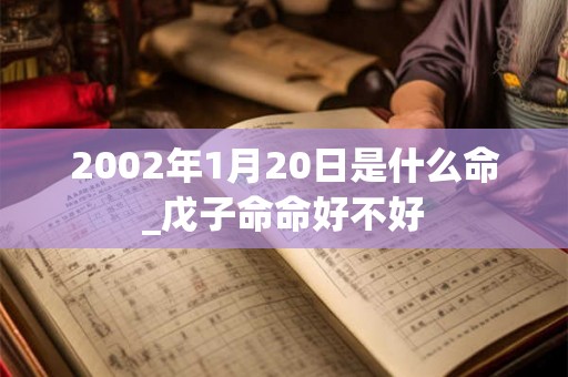 2002年1月20日是什么命_戊子命命好不好