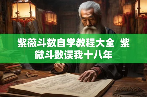 紫薇斗数自学教程大全 紫微斗数误我十八年 紫薇斗数自学教程大全 紫微斗数误我十八年