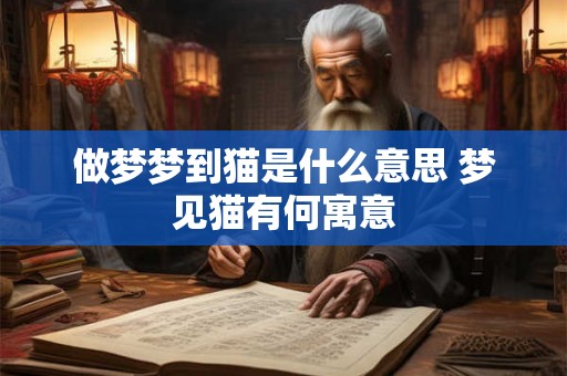 做梦梦到猫是什么意思 梦见猫有何寓意