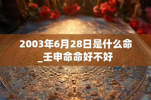 2003年6月28日是什么命_壬申命命好不好