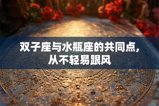 双子座与水瓶座的共同点,从不轻易跟风