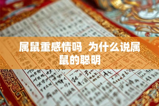 属鼠重感情吗 为什么说属鼠的聪明 属鼠重感情吗 为什么说属鼠的聪明