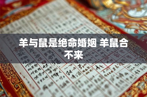 羊与鼠是绝命婚姻 羊鼠合不来 羊与鼠是绝命婚姻 羊鼠合不来