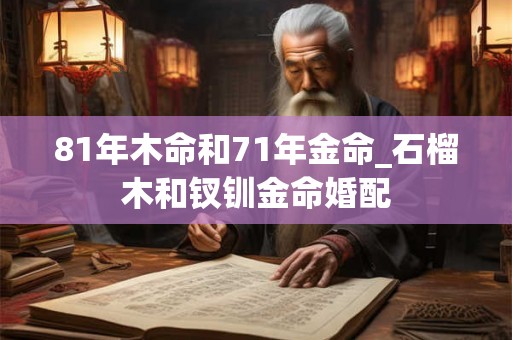 81年木命和71年金命_石榴木和钗钏金命婚配