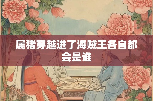 属猪穿越进了海贼王各自都会是谁