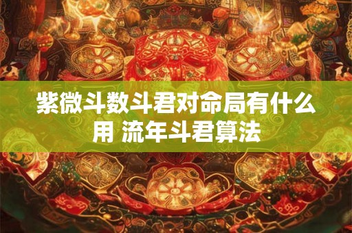 紫微斗数斗君对命局有什么用 流年斗君算法