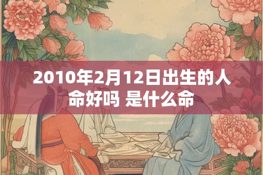 2010年2月12日出生的人命好吗 是什么命