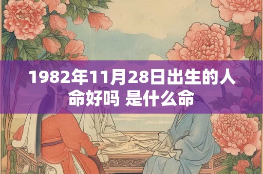 1982年11月28日出生的人命好吗 是什么命