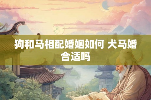 狗和马相配婚姻如何 犬马婚合适吗 狗和马相配婚姻如何 犬马婚合适吗