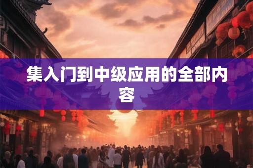 集入门到中级应用的全部内容 集入门到中级应用的全部内容