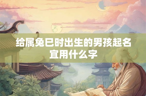 给属兔巳时出生的男孩起名宜用什么字