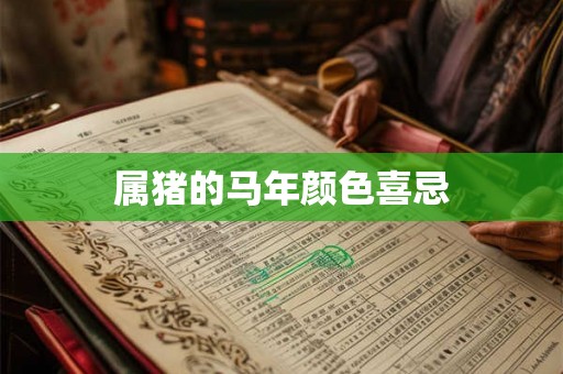 属猪的马年颜色喜忌