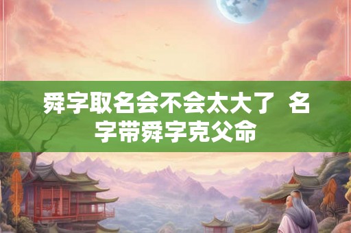 舜字取名会不会太大了  名字带舜字克父命