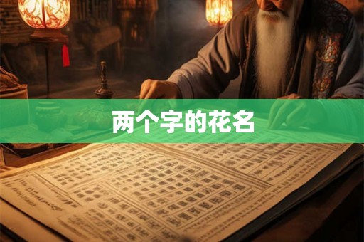 两个字的花名