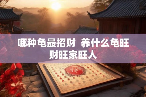 哪种龟最招财 养什么龟旺财旺家旺人 哪种龟最招财 养什么龟旺财旺家旺人
