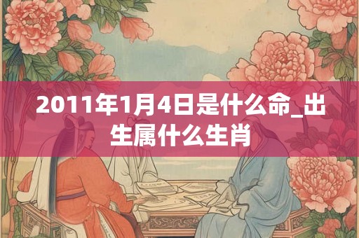 2011年1月4日是什么命_出生属什么生肖 2011年1月4日是什么命_出生属什么生肖